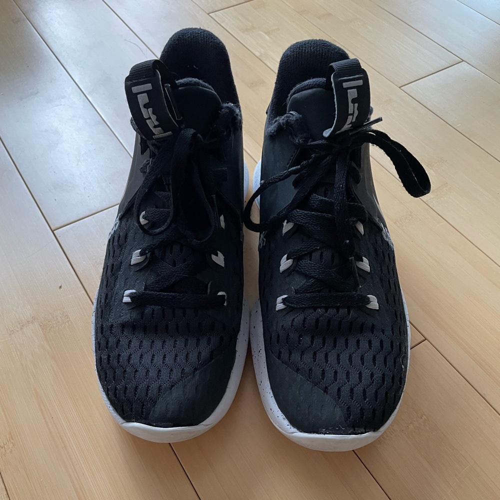 Nike Lebron Witness